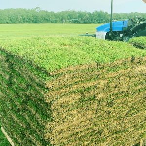 Buy Pallet Of Sod For Sale (450 Sq Ft – $350)