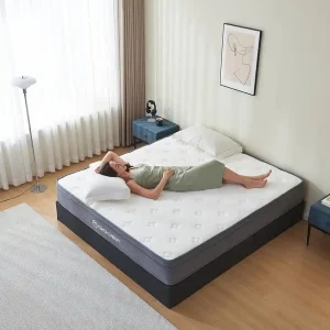 Buy Mattress Liquidation Lot (10 Units) – $1,700