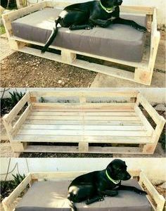 Pet Pallets