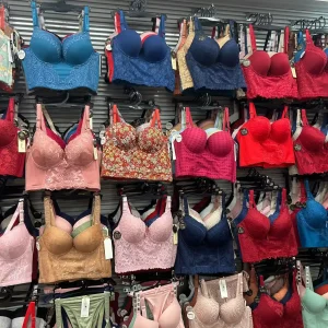 wholesale bras and panties